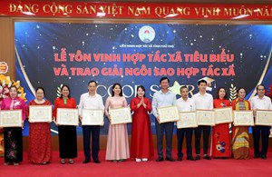 HỢP TÁC XÃ NẤM TAM ĐẢO VINH DỰ NHẬN GIẤY KHEN TẠI LỄ KỶ NIỆM 15 NĂM NGÀY HỢP TÁC XÃ VIỆT NAM