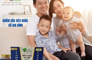 Nấm Tam Đảo - Nguồn dinh dưỡng vô tận