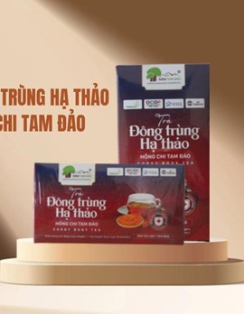 Trà Đông Trùng Hạ Thảo Hồng Chi Tam Đảo Cordy Body Tea